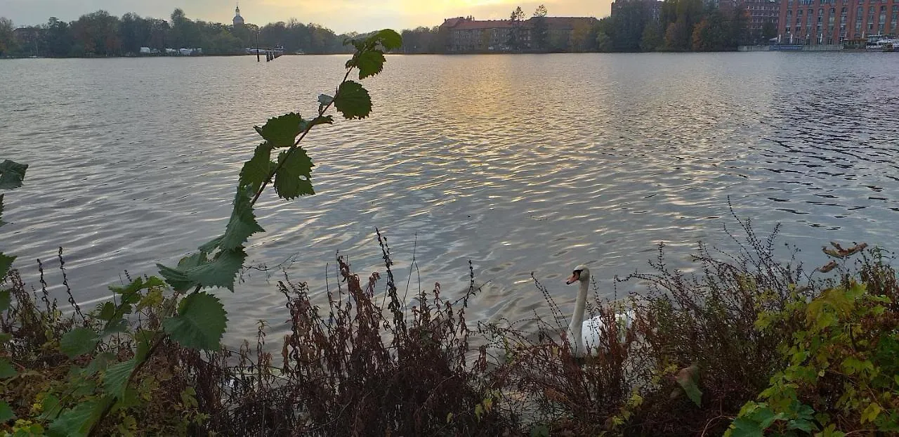 Daire Ferienwohnung Eiswerder Berlin Almanya